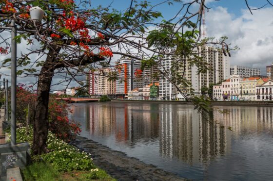 belezas naturais da zona Sul de Recife